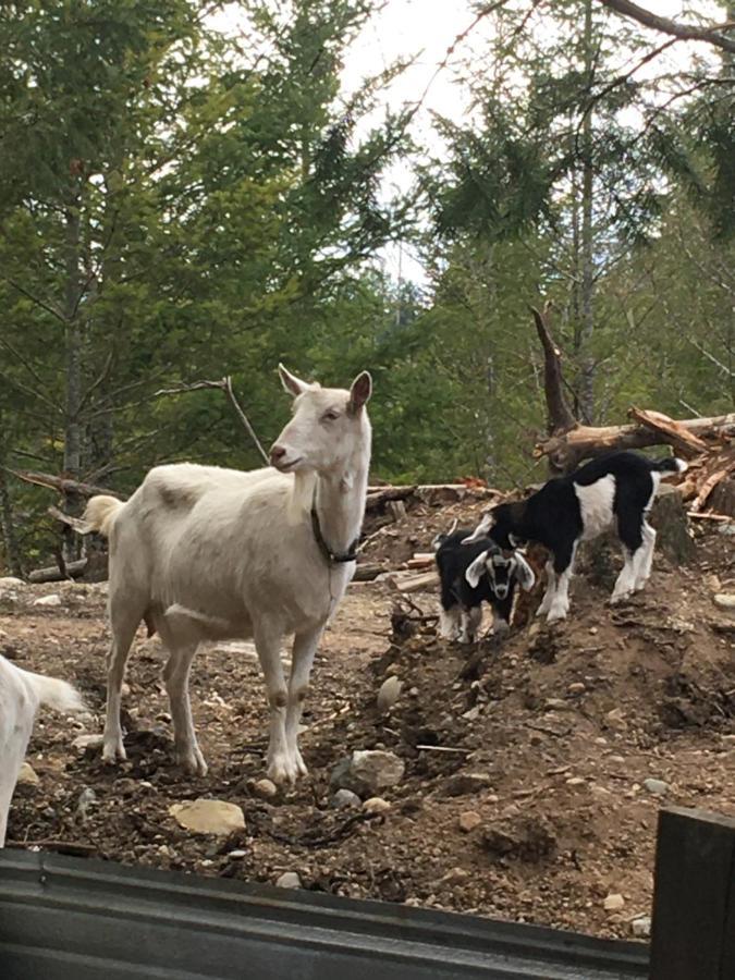 Maple Heart Ranch Villa Shawnigan Lake Luaran gambar